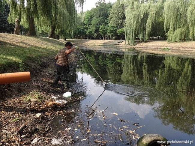 Interwencja pana Henryka
