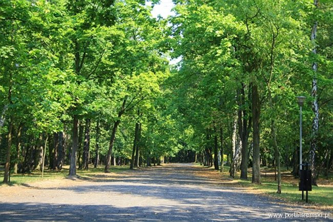 Sposoby na sierpniowe upały