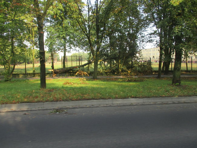 Jeszcze raz o nawałnicy