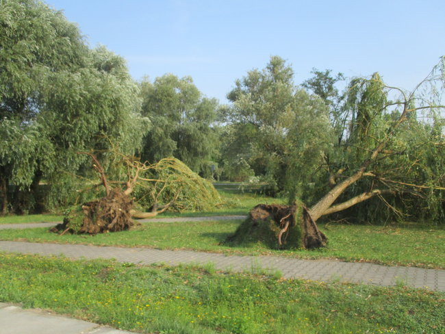 Jeszcze raz o nawałnicy