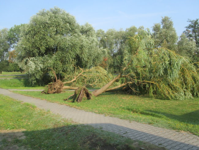 Jeszcze raz o nawałnicy