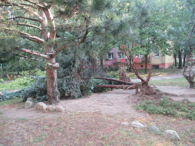 Jeszcze raz o nawałnicy