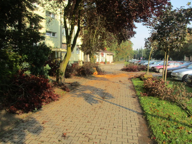 Jeszcze raz o nawałnicy