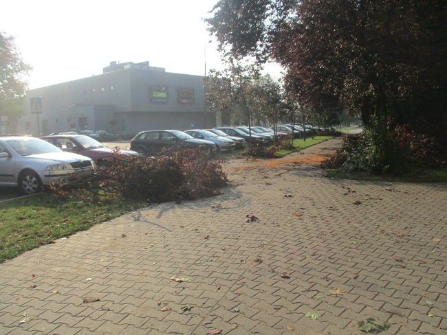 Jeszcze raz o nawałnicy