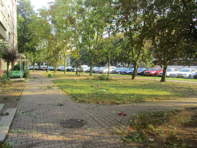 Jeszcze raz o nawałnicy