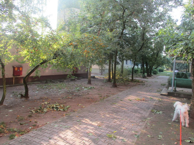 Jeszcze raz o nawałnicy