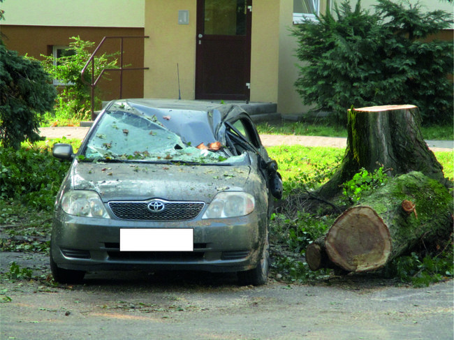 Jeszcze raz o nawałnicy