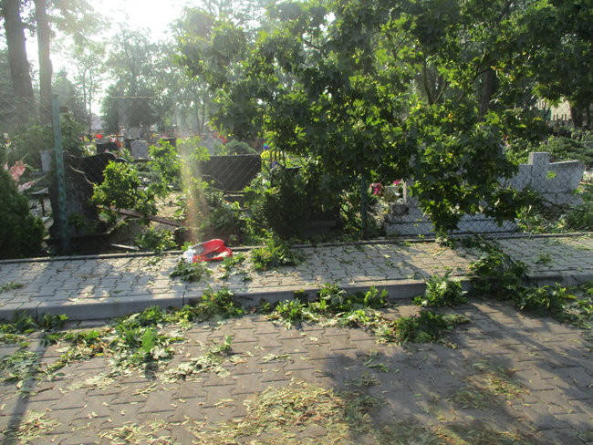 Jeszcze raz o nawałnicy