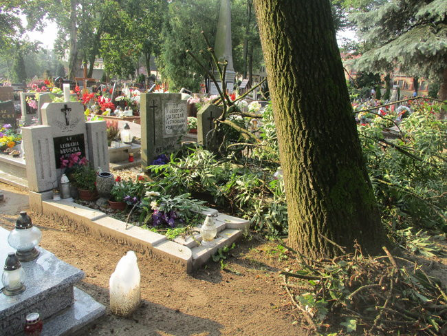 Jeszcze raz o nawałnicy