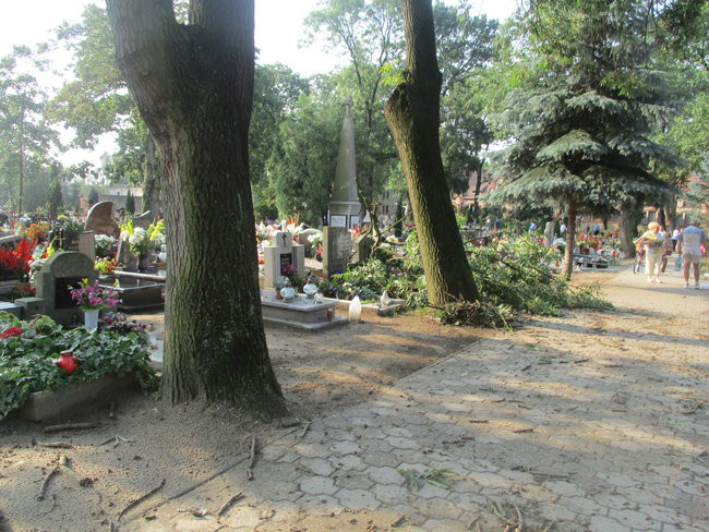 Jeszcze raz o nawałnicy