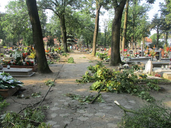 Jeszcze raz o nawałnicy