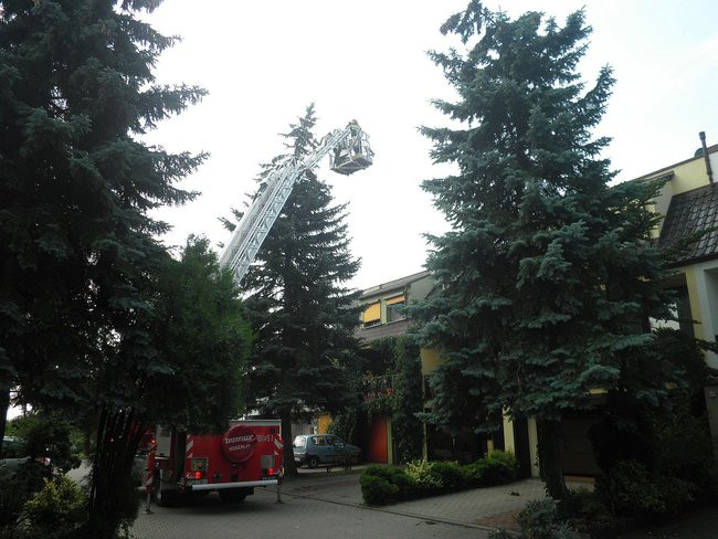 Zagrożenie na milionówkach