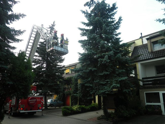 Zagrożenie na milionówkach