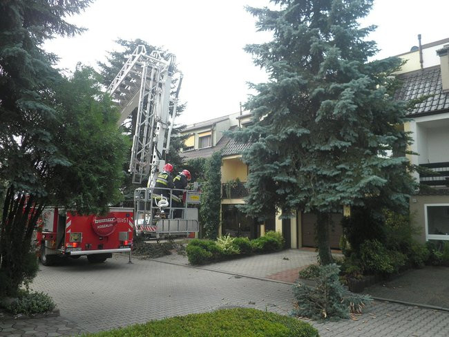 Zagrożenie na milionówkach