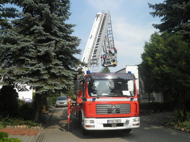 Zagrożenie na milionówkach