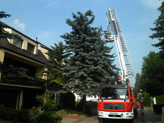 Zagrożenie na milionówkach