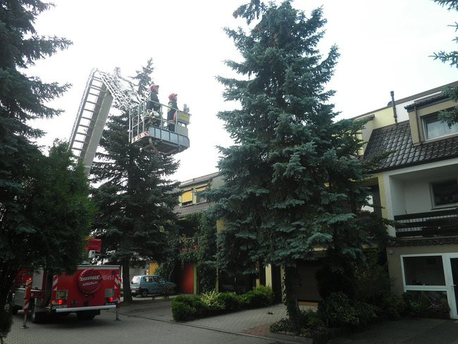 Zagrożenie na milionówkach