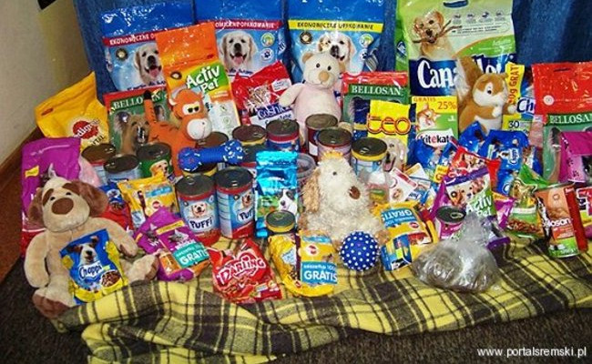 Współpraują ze schroniskiem