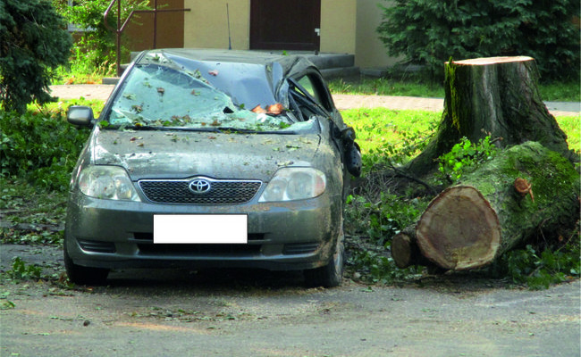 Jeszcze raz o nawałnicy