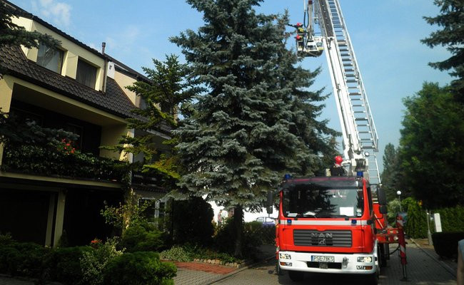 Zagrożenie na milionówkach