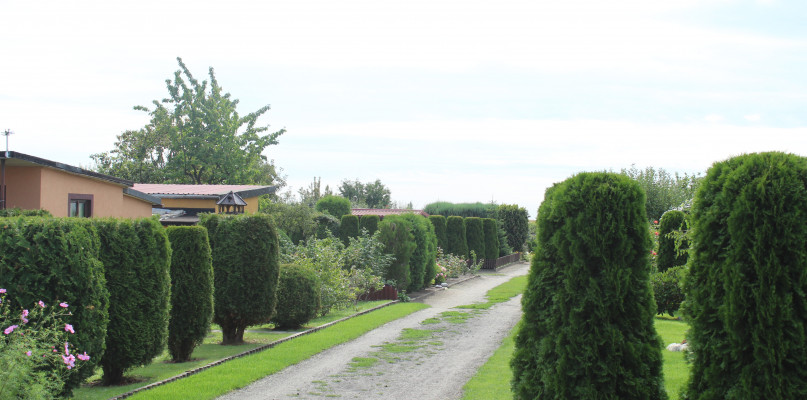 Od dzisiaj wspomnienie trzech ogrodników. Przysłowia się sprawdzają?