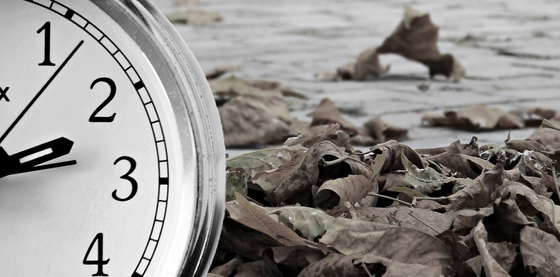 Zdjęcie ilustracyjne. Fot. pixabay.com/pl/