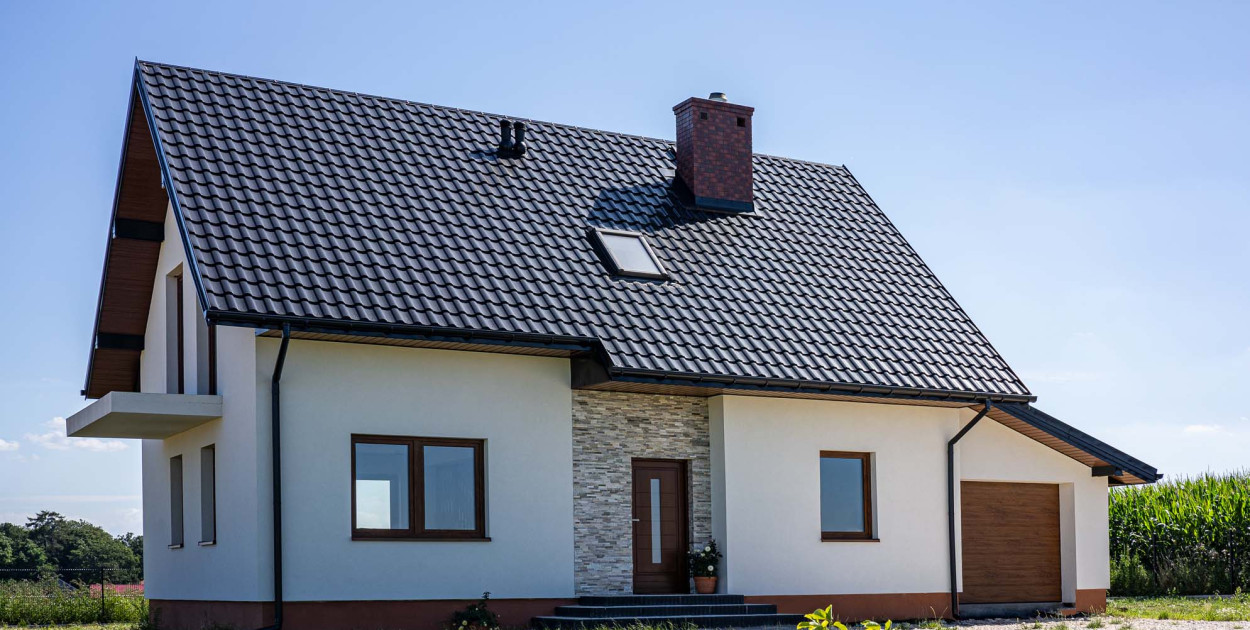 Kuna na poddaszu – jak rozwiązać ten problem?