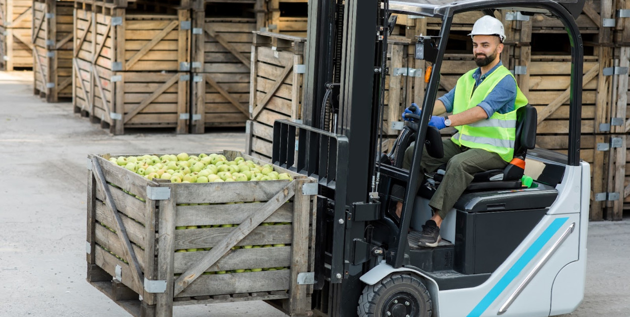 Czynniki wpływające na koszty transportu drogowego artykułów spożywczych w Europie