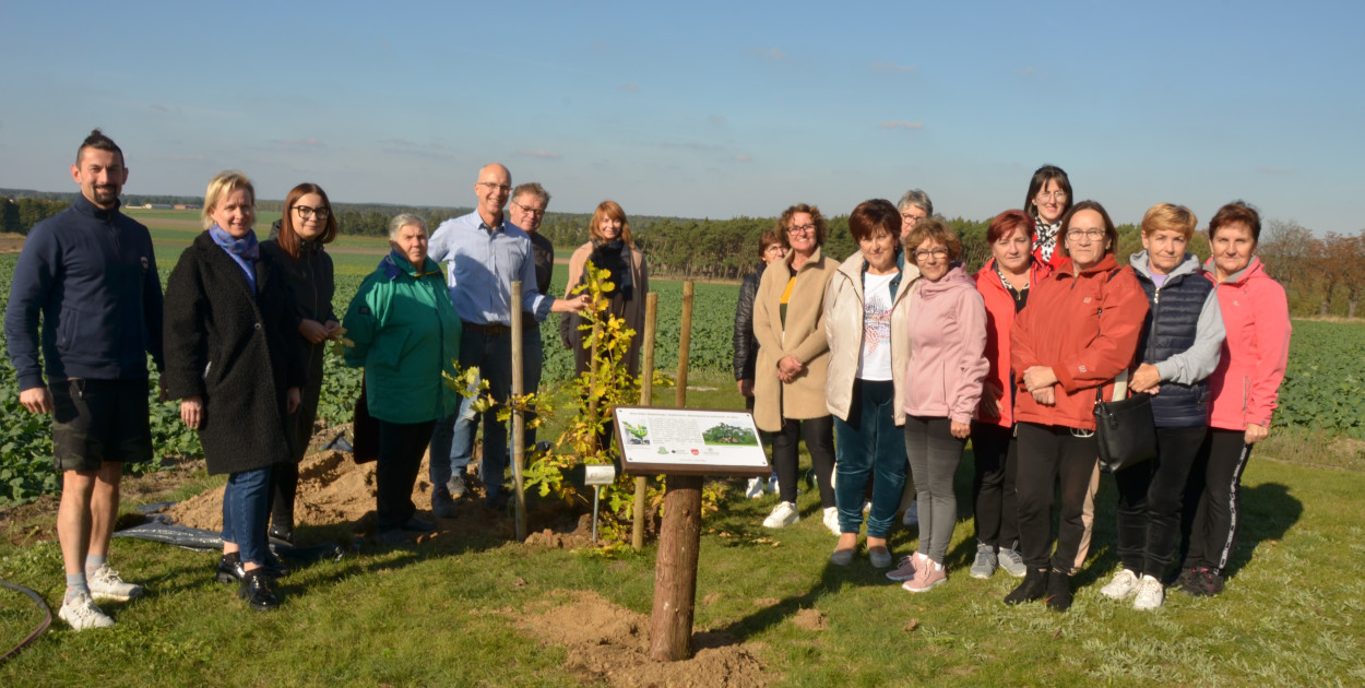 zdj. CK Książ Wlkp.