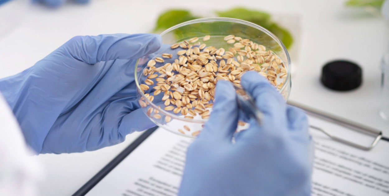 Badania opakowań do kontaktu z żywności: bezpieczeństwo, jakość, innowacje