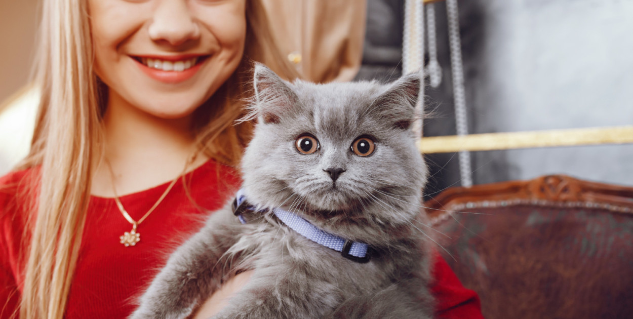 Saszetka dla kota - czy warto stosować?