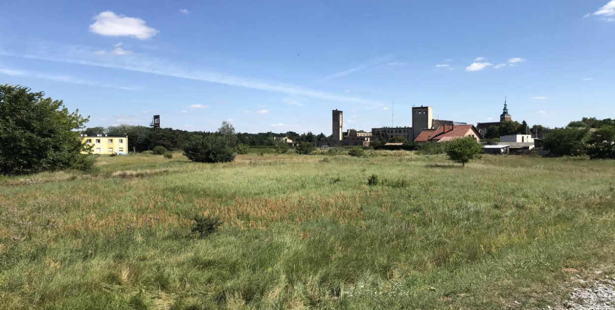 Śremskie TBS złożyło wniosek ws. budowy nowego osiedla