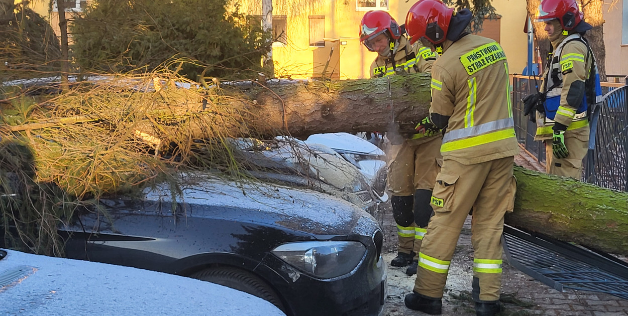 Strażacy usuwali drzewo, które przewróciło się na zaparkowane auta.