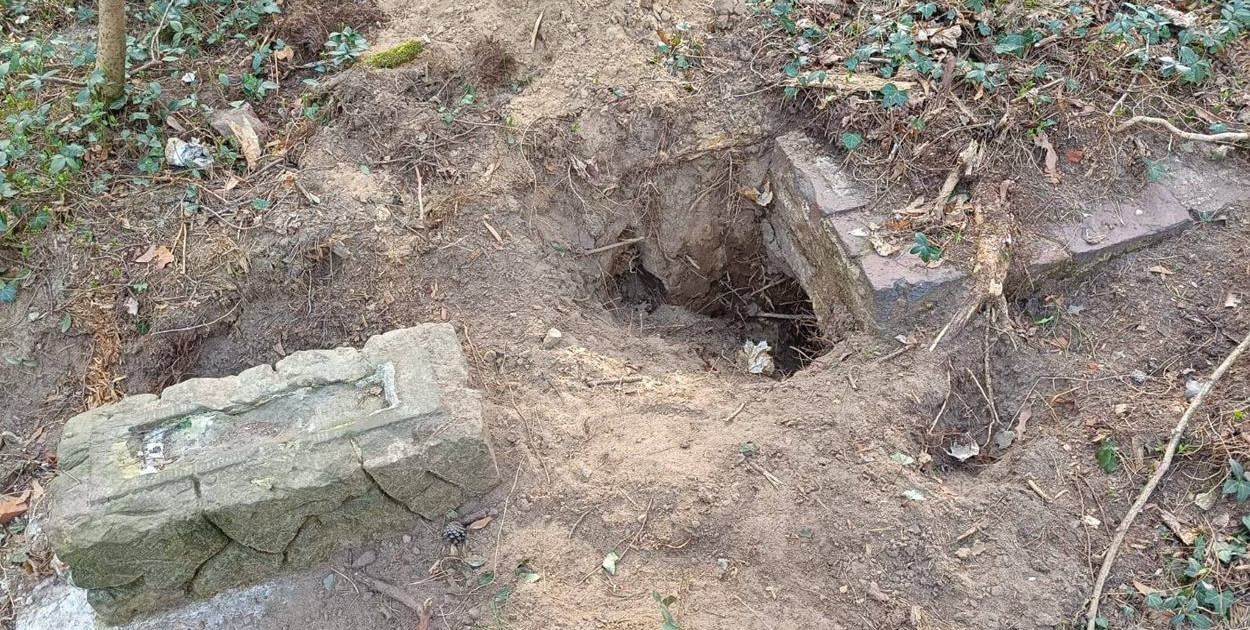 Fot. Nadleśnictwo Jarocin - Ośrodek Edukacji Leśnej w Czeszewie