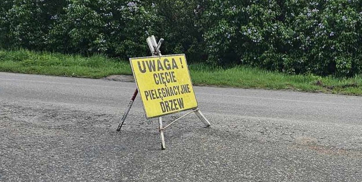 Tragiczny wpadek podczas prac. Na pracownika spadło drzewo