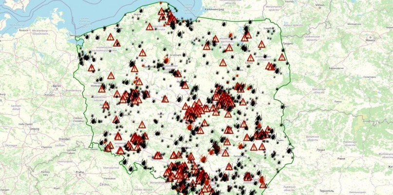 screen Mapa kleszczy 2022