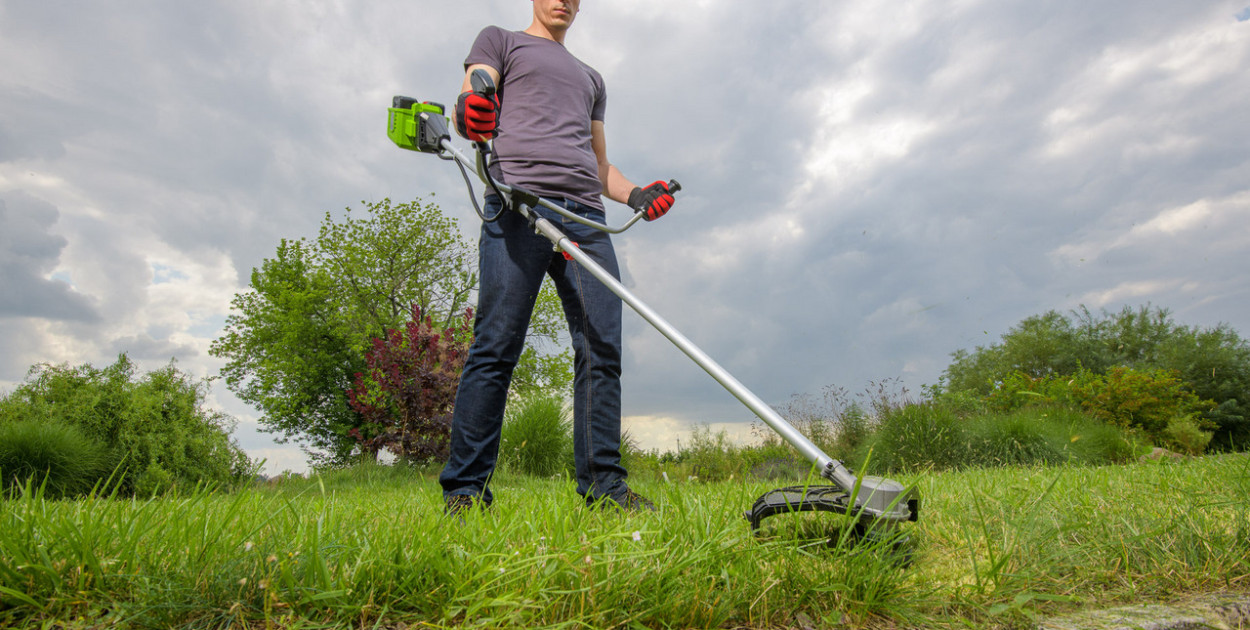 materiał partnera