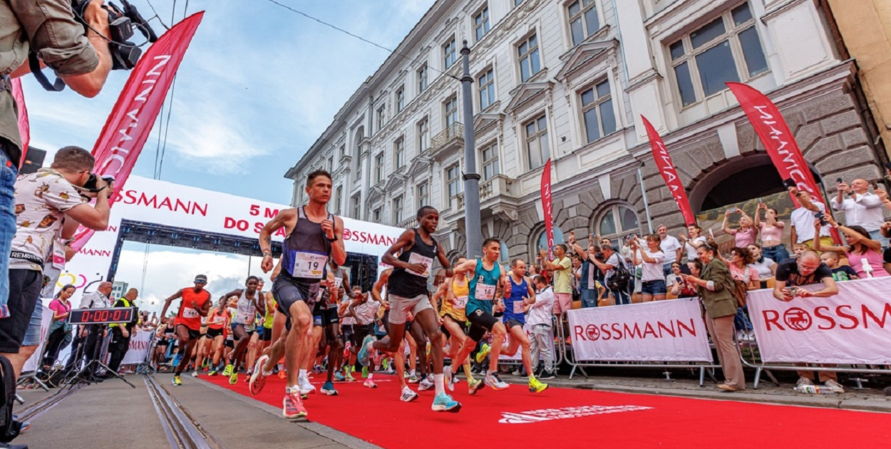 zdj. Rossmann