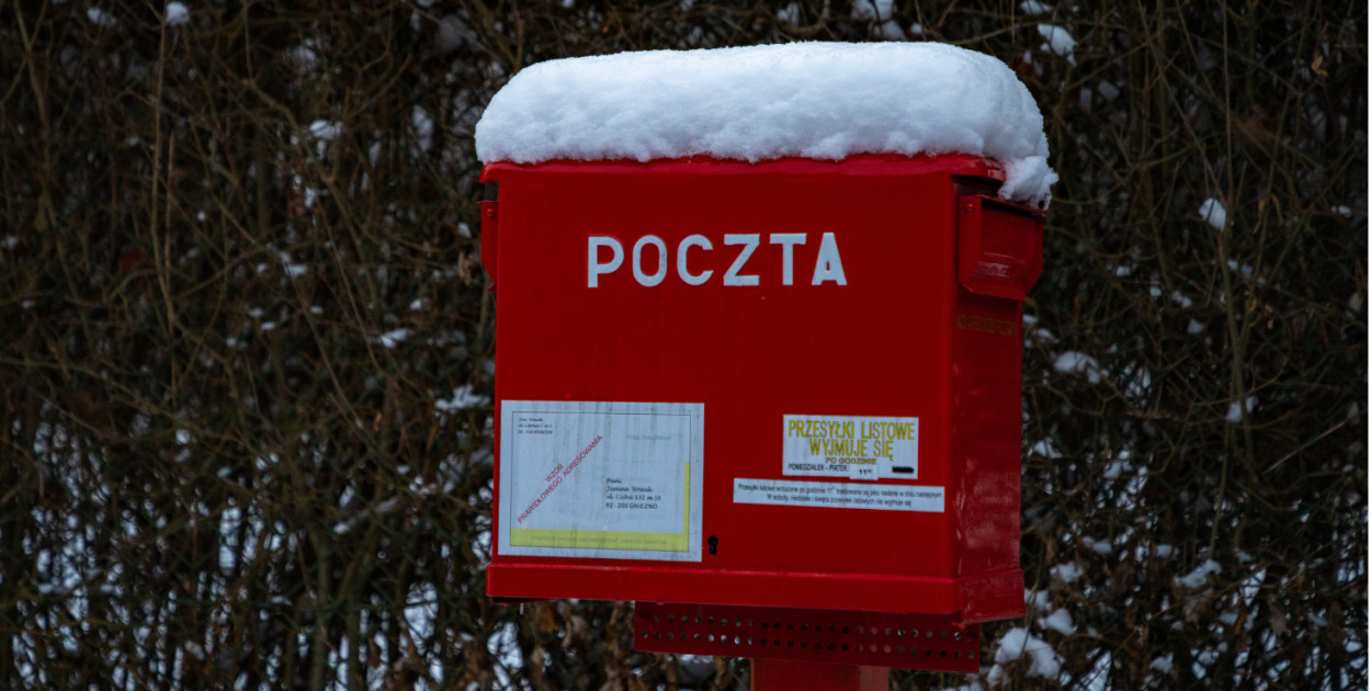 zdj. poglądowe