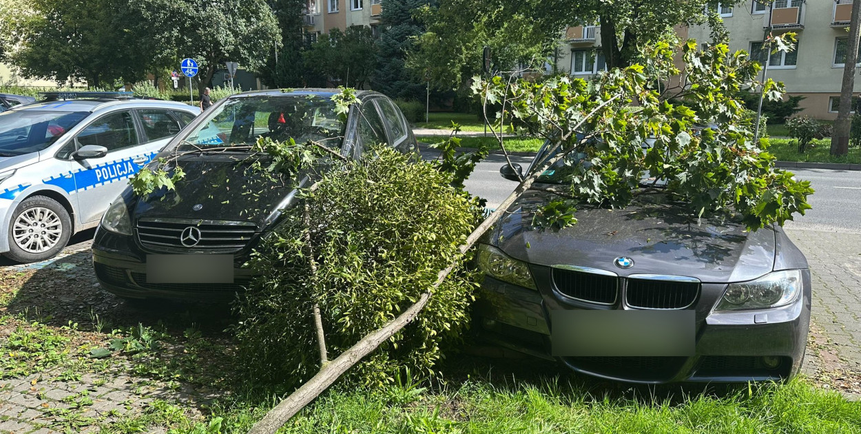Zdjęcie z archiwum Komendy Powiatowej Policji w Śremie.