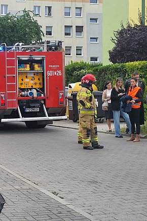 Próbny alarm bombowy w śremskiej bibliotece-5339