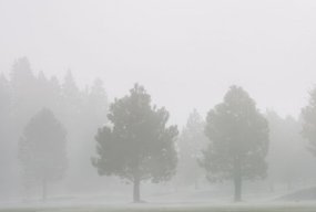 Gęste mgły w kilku powiatach - 50851