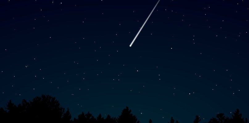 Roje meteorów widoczne na śremskim niebie  - 66727