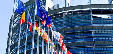 Przejście z IX do X kadencji Parlamentu Europejskiego – najważniejsze procedury-67430