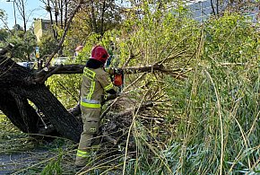 Zagrożenie na ulicy Chłapowskiego. Mogło skończyć się tragicznie-72622