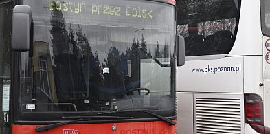 Gmina Dolsk rozważa wystąpienie z WTR. To może być trafna decyzja-74868