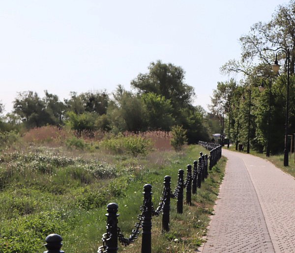 Jaką pogodę zapowiadają na majówkę w Śremie?-80217