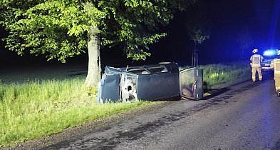 Niebezpieczne zdarzenie ze zwierzyną. Samochód uderzył w drzewo-80297