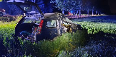 Na prostym odcinku zjechał z drogi. Kierowca zginął na miejscu-80353