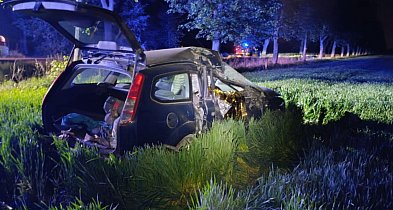 Na prostym odcinku zjechał z drogi. Kierowca zginął na miejscu-80353